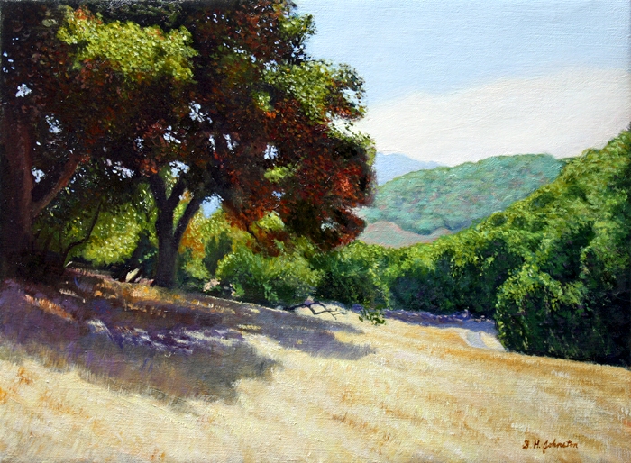 Robles Meadow, Summer
	